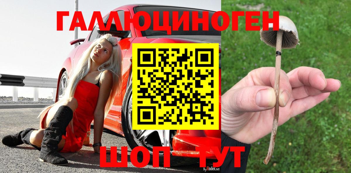 Псилоцибиновые грибы прущие грибы Медногорск