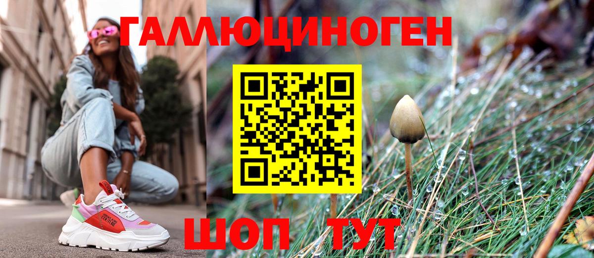 Медногорск  Псилоцибиновые грибы MAGIC MUSHROOMS  Галлюциногенные грибы MAGIC MUSHROOMS  Вход с VPN 